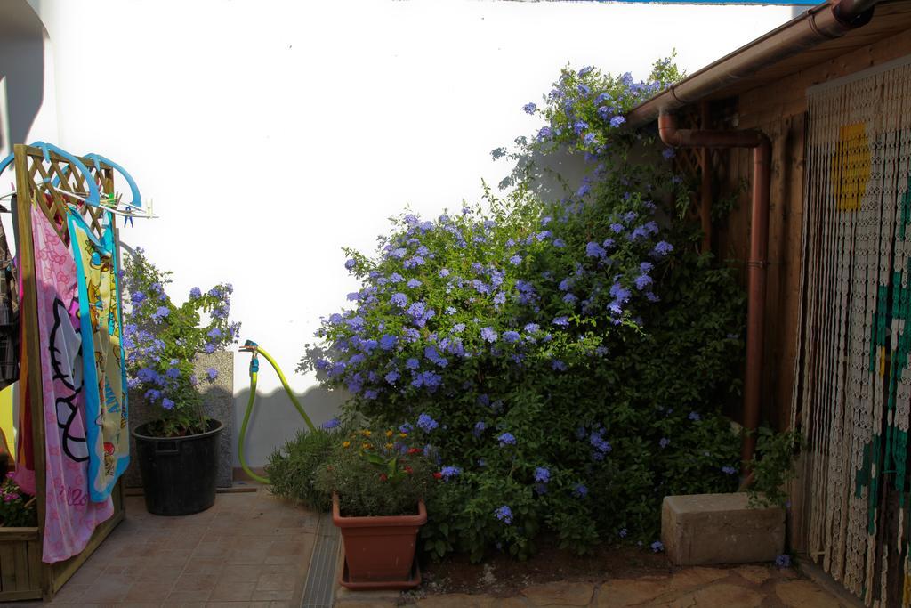 Bonjour Bed & Breakfast มอร์ชาโน ดิ เลอูกา ห้อง รูปภาพ